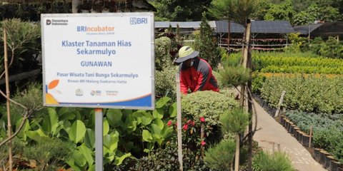 Perkuat Ekonomi Kerakyatan, BRI Berdayakan 41 ribu Klaster Usaha melalui Pembiayaan dan Literasi Keuangan
