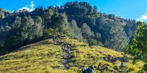 Kronologi Bule Swiss Jatuh di Rinjani, Begini Kondisi Terkini Korban