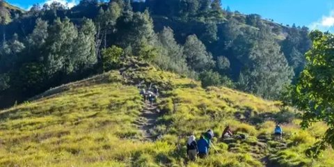 Ini Identitas Pendaki Asal Swiss dan Jalur yang Dilalui Sebelum Jatuh di Gunung Rinjani