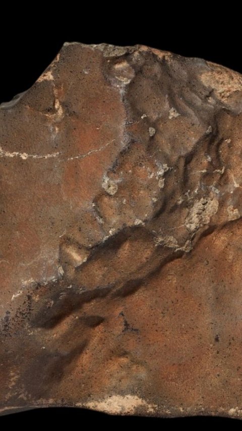 Batu Mars Terbesar di Bumi Terjual Rp70 M di Lelang New York