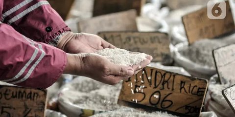 Konsumsi Beras Oplosan Picu Beragam Masalah Kesehatan Serius