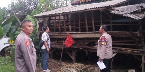 Kronologi Kambing Warga Depok Dicuri Hanya Tersisa Jeroan dan Ceceran Darah