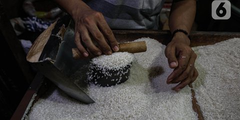 Mentan Amran Sikat Mafia Beras, Harga Langsung Turun Rp1.000 per Kemasan