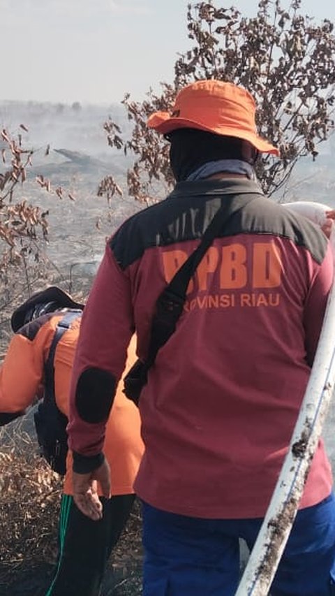 Kebakaran Hutan Meluas di Riau, Kabut Asap Pekat Sulitkan Pandangan hingga Berhembus ke Malaysia