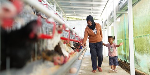 Bantu Ekonomi dan Pangan, PNM Bagikan 240 Ekor Ayam