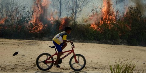 FOTO: Karhutla Ancam Permukiman Warga di Riau