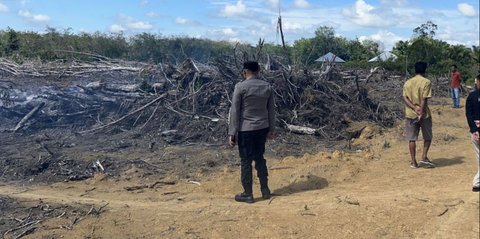 Bakar Lahan Demi Sawit, Pria Asal Pekanbaru Diciduk Polisi