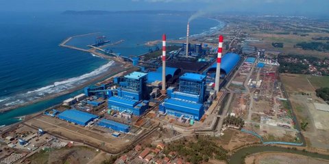 Dukung Ekosistem Biomassa dan Cofiring PLTU, PLN EPI Sediakan Ratusan Ribu Bibit Tanaman Multifungsi