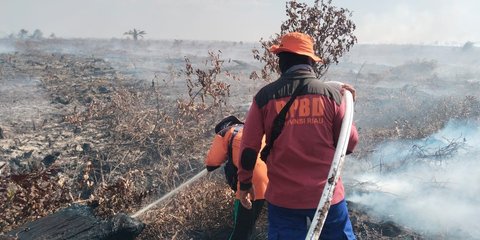 Bersihkan Semak dengan Dibakar, Wanita Tewas Terpanggang Karena Api Semakin Membesar