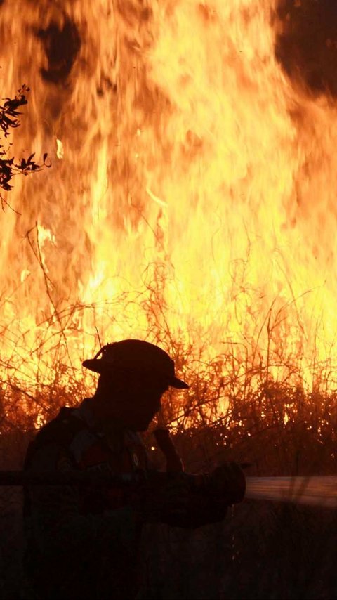 Malaysia & Singapura 'Protes' Wilayahnya Dipenuhi Kabut Asap Karhutla Riau