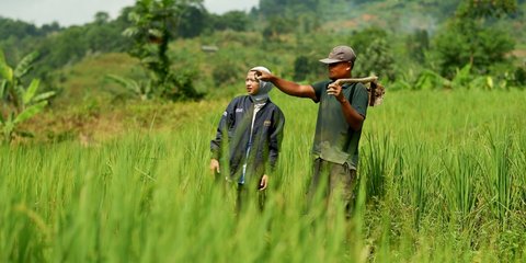 BRI Dorong Pemberdayaan UMKM dengan Salurkan KUR Rp83,88 Triliun, Pertanian Jadi Fokus Utama