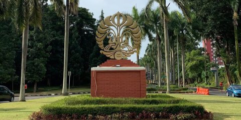 Dewi Puspitorini Mendaftar Sebagai Calon Ketuai ILUNI UI, Cek Perjalanan Kariernya di Sini