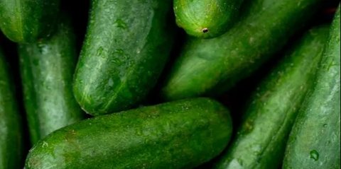 Fakta Unik Timun: Buah Kaya Air Ini Punya Manfaat Kesehatan Luar Biasa, Tapi Waspadai Efek Sampingnya!