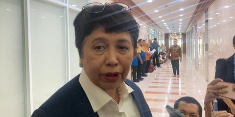 Adik Luhut Mau Jadi Dubes RI untuk Jepang, Paparkan Peningkatan Hubungan Bilateral Kedua Negara