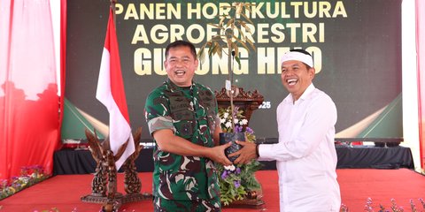 Panen Hasil Agroforestry Bareng Dedi Mulyadi, Kasad Kirim Pesan 'Indonesia Tidak Perlu Impor'