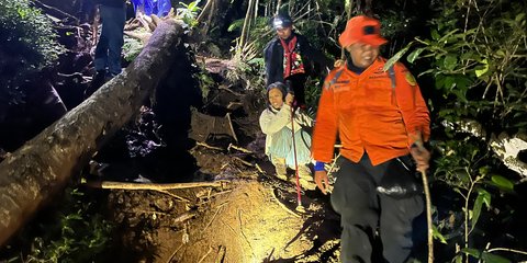 Cerita Ibu dan Anak Tersesat di Gunung Batukaru Bali