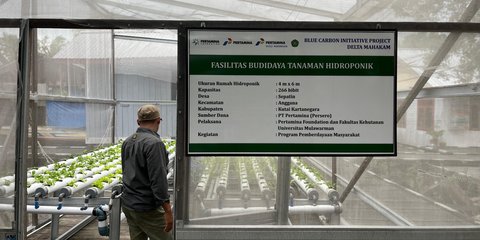 Pertamina Foundation Wujudkan Pelestarian Lingkungan Lewat Program Hutan Lestari