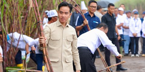 Istana soal Gibran Pimpin Percepatan Pembangunan Papua: Bukan Tugas dari Presiden, Itu Amanat UU