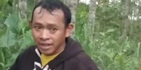 Tomat Dicuri Seorang Pemuda, Hati Tak Terluka: Kisah Pemilik Kebun yang Penuh Empati