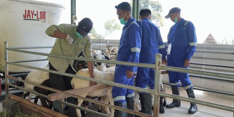 Ekonomi Sirkular Berbasi Desa Jadi Solusi Selesaikan Tantangan Sosial, Begini Cara Dilakukan PLN EPI