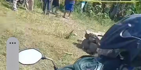 Viral Video Pasutri di Pemalang Tewas Misterius di Tumpukan Batu, Polisi Masih Selidiki