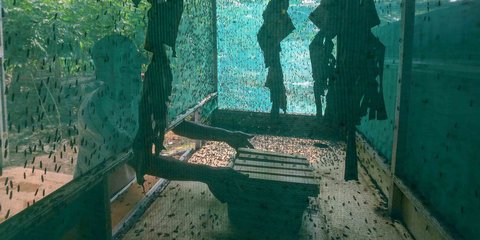 FOTO: Budidaya Maggot Bantu Warga Terdampak PHK di Depok