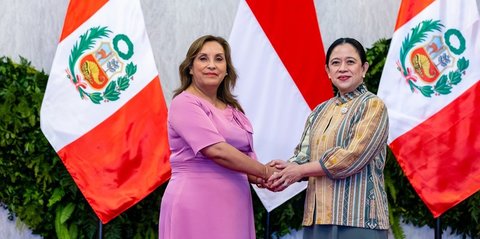 Terima Kunjungan Presiden Peru, Puan Bahas Potensi Kerja Sama RI–Peru dan Kepemimpinan Perempuan