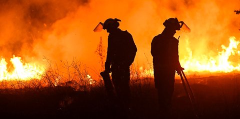 FOTO: Gelombang Panas Picu Kebakaran Hutan Hebat di Spanyol