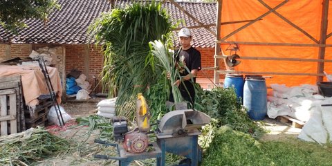 Kisah Pengusaha Pakan Ternak dari Ponorogo Ini Buktikan KUR BRI Bisa Bikin Usaha Berkembang