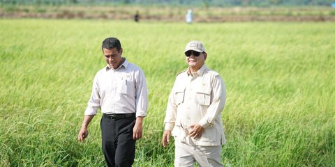 BPS: Sektor Pertanian Tumbuh Signifikan, Penopang Utama Ekonomi Nasional Triwulan II-2025