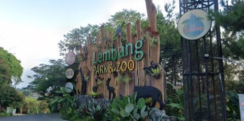 Dualisme Manajemen Kembali Memanas, Bandung Zoo Kembali Ditutup