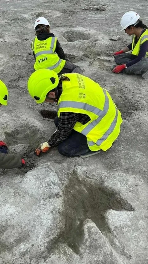 Lihat Tonjolan Kecil di Tanah Liat, Pekerja Tambang Temukan Situs Jejak Kaki Dinosaurus Terbesar di Inggris