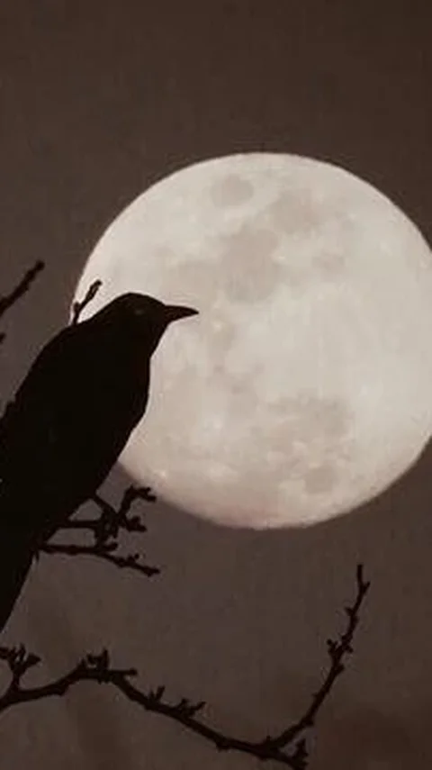 NASA Makin Dekat Kirim Astronot ke Bulan, Pertama Sejak 1972