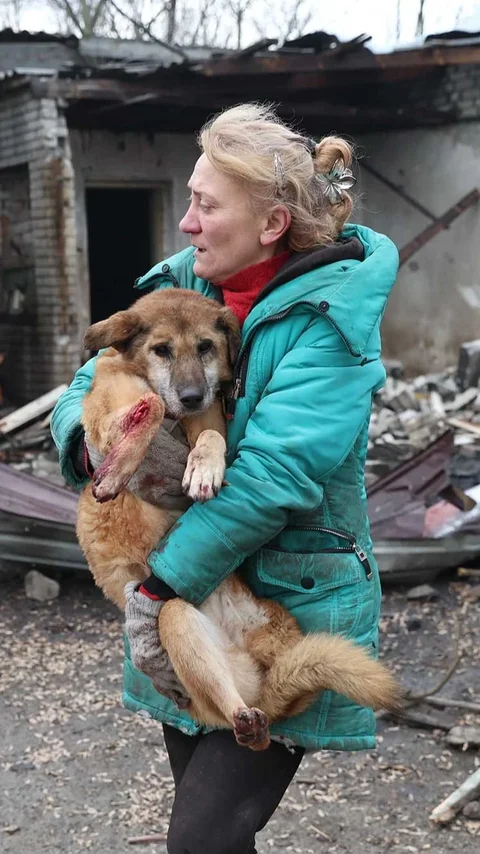 FOTO: Evakuasi Anjing Terluka Usai Serangan Rusia Hantam Penampungan Anjing Liar