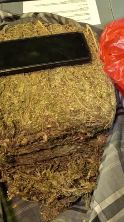 Bandar Ganja 4,3 Kg Ditangkap di Depok, ini Kronologinya