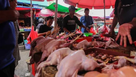 BI Catat Inflasi DKI 0,63 Persen, Kenaikan Harga Ayam dan Cabai Jadi Pemicu