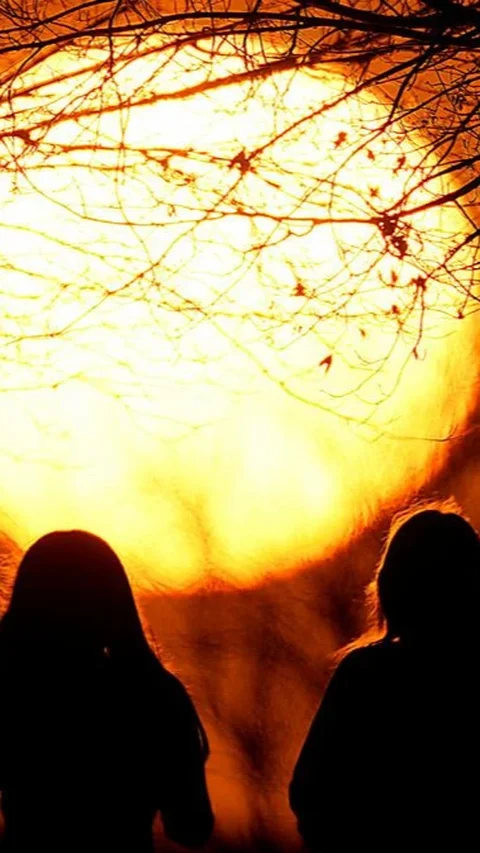 Eropa Memanas Paling Cepat di Dunia, Laporan Terbaru Ungkap Dampak Serius Perubahan Iklim