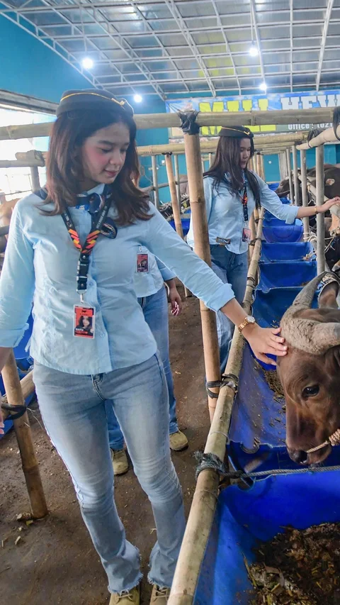 FOTO: SPG Ala Pramugari Curi Perhatian di Lapak Hewan Kurban Depok