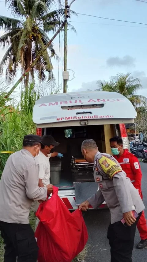 Mayat Pria Tanpa Identitas Ditemukan Terkubur di Areal Persawahan Bali, Tato di Tubuhnya Jadi Petunjuk Utama