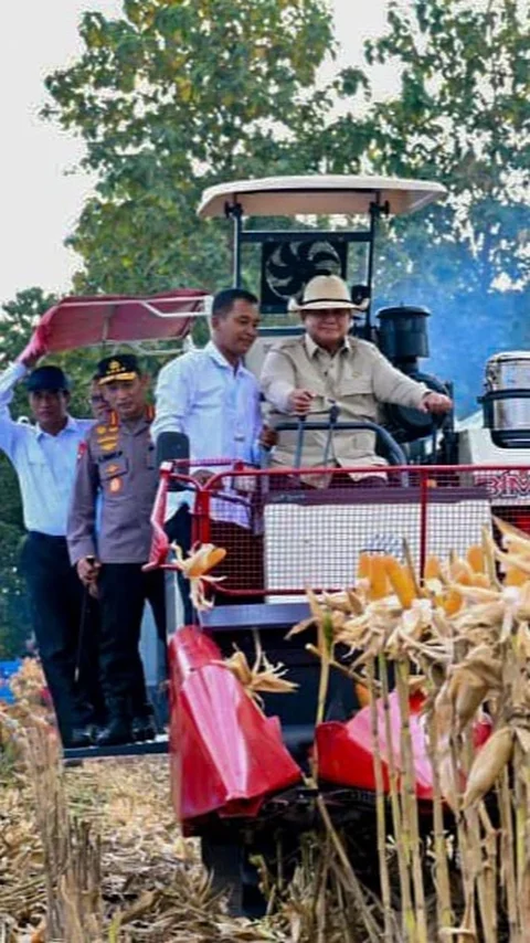 FOTO: Prabowo Panen Jagung dan Luncurkan Operasional Ketahanan Pangan