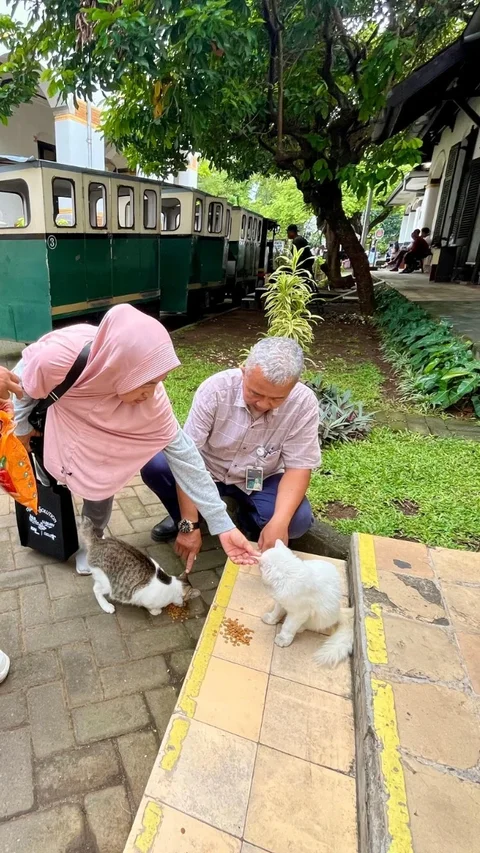 Heboh Kabar Pembuangan Kucing di Lawang Sewu, Manajemen Buka Suara