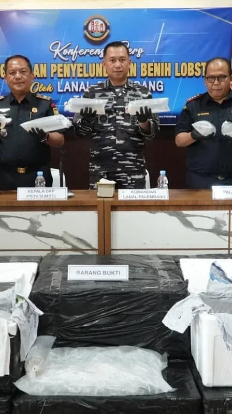 FOTO: TNI AL Gagalkan Penyelundupan Benih Lobster di Perairan Jambi