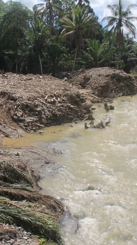 Ketika Hutan Tak Lagi Menahan Air: Menilik Jejak Deforestasi di Balik Cuaca Ekstrem Sumatra Utara