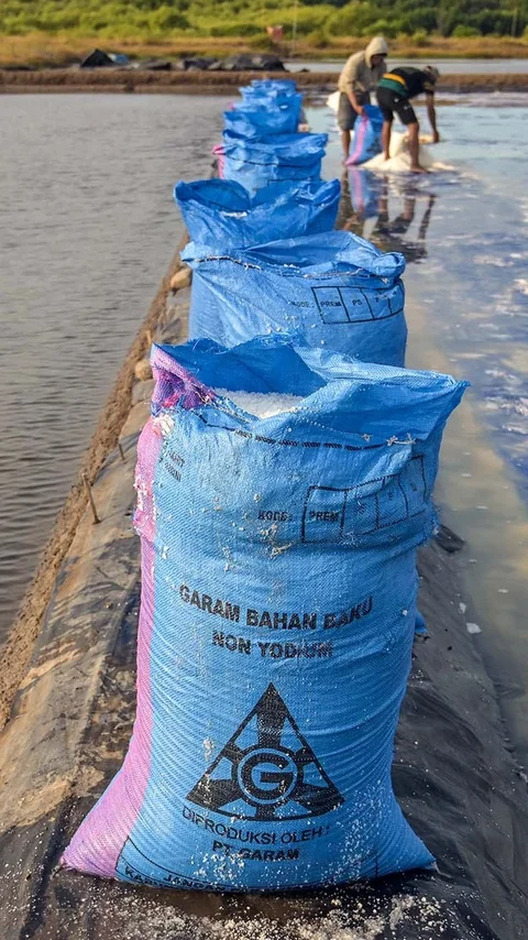 FOTO: Produksi Garam Rakyat Digenjot Kurangi Ketergantungan Impor