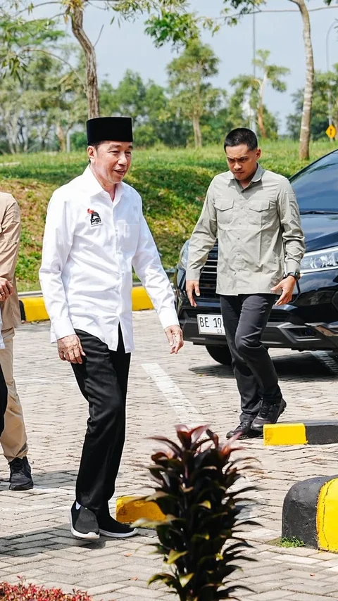 Kuasa Hukum Pastikan Jokowi Hadir di Sidang Dokter Tifa, Tunjukkan Ijazah Sejak SD