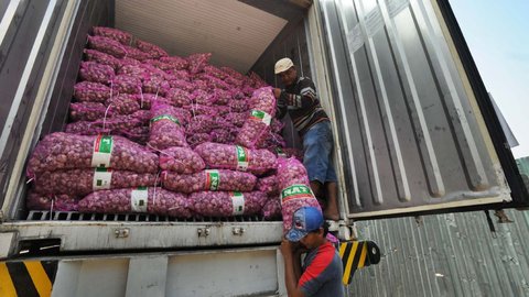 Kebutuhan Hanya 600 Ton, Menteri Zulhas Buka Keran Impor Bawang Putih 300 Ribu Ton