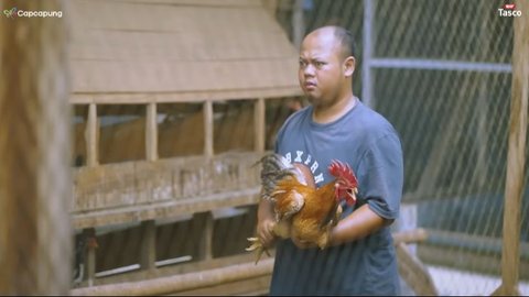 Resign di Dunia Pendidikan, Pria Ini Kini Sukses Berternak Ayam Kampung dan Buka Pelatihan