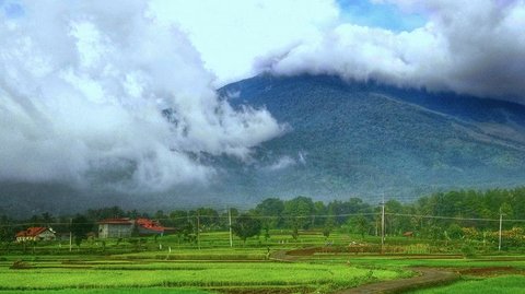 Mengenal Desa Wisata Cibuntu, Begini Aktivitas Seru yang Bisa Dilakukan