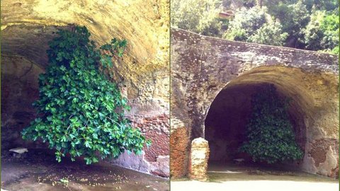 {{caption}}