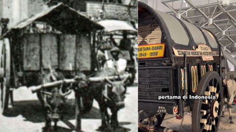 Tidak Menggunakan Mesin, Ini Potret Armada Damri Pertama yang Ditarik Dua Ekor Sapi
